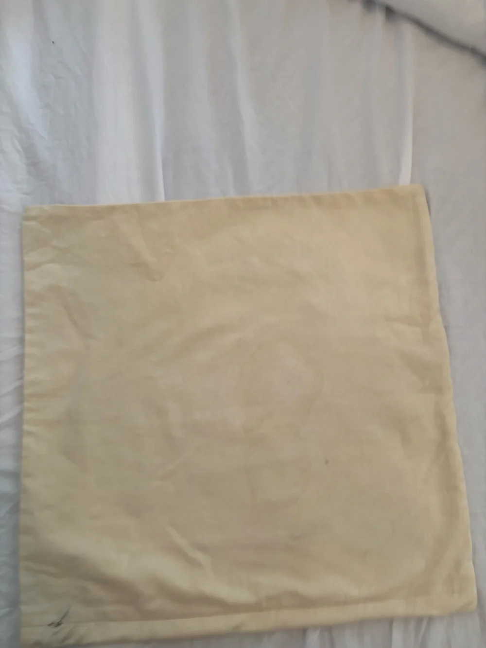 Pottery Barn || Pineapple Embroidered Pillow Cover Pair Set 2 Ivory Blue 18 x 18